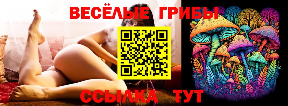 Псилоцибиновые грибы мухоморы  Псилоцибиновые грибы ЛСД  Вход с VPN  Красноярск 
